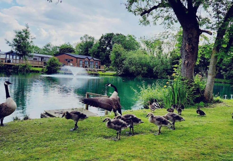Lakefront 5 Star Country Park Private Fishing Free Parking 1